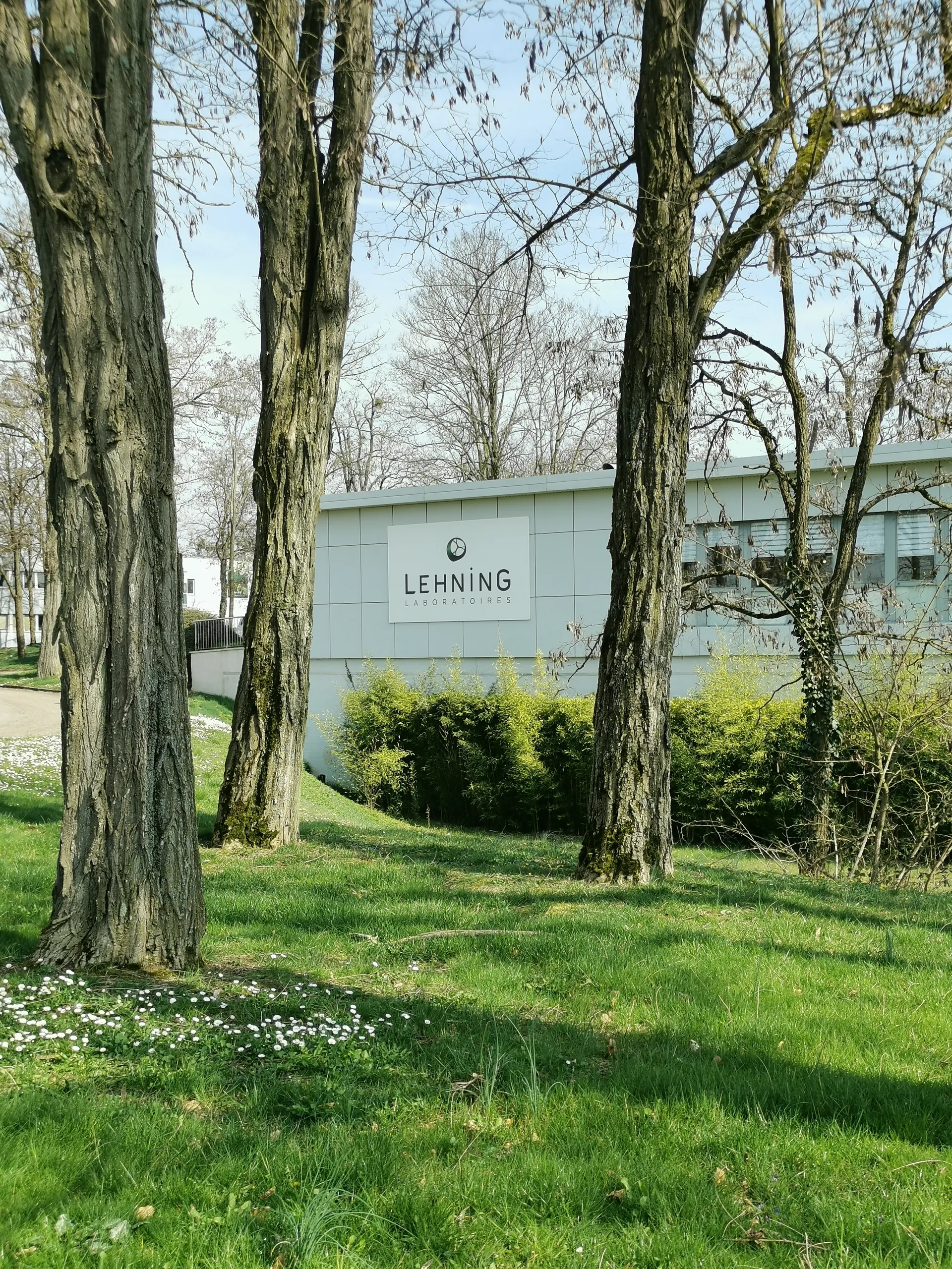 Lehning zdrowie